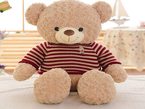 Top 7 gấu bông Teddy làm quà tặng người yêu đẹp nhất